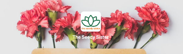 The Seedy Sister Newsletter