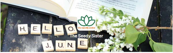 The Seedy Sister Newsletter