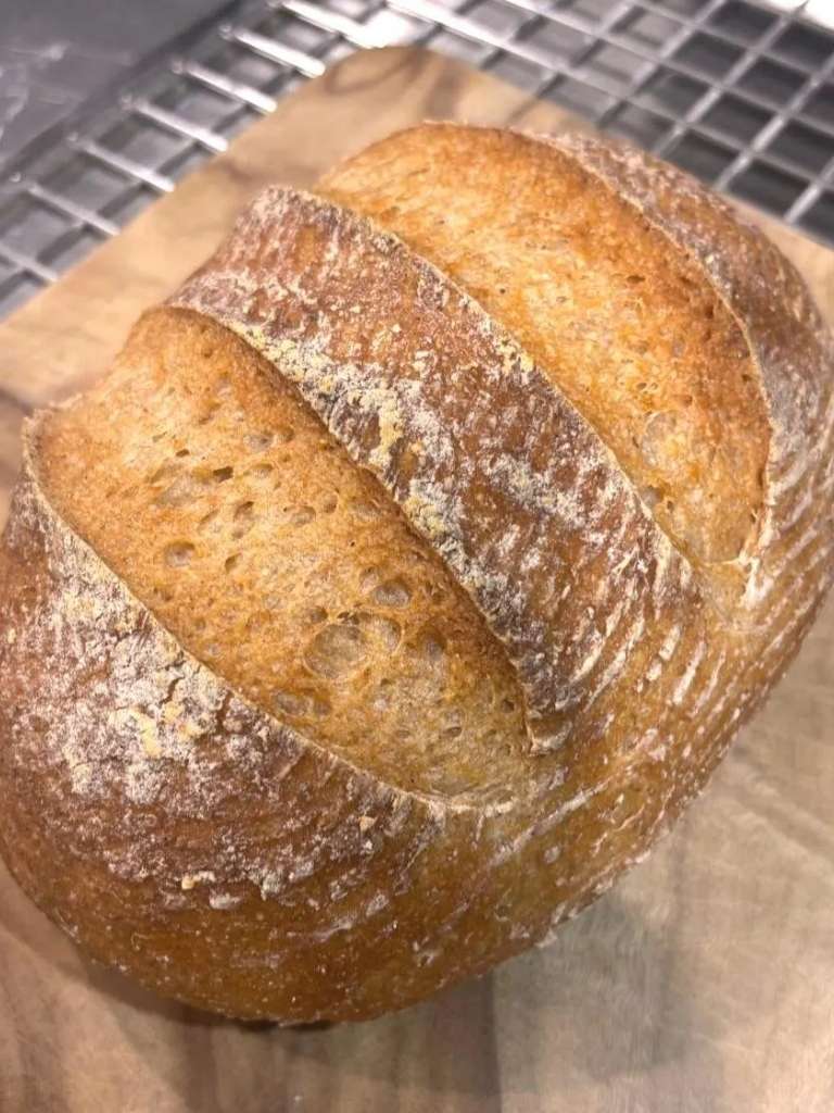 Gluten Free White Sour Dough