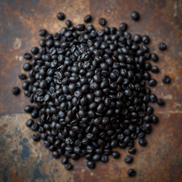 Organic Black Beluga Lentils