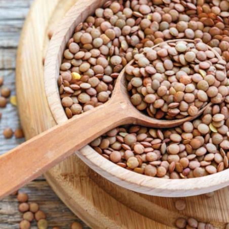 Organic Laird Lentils (Brown / Green)