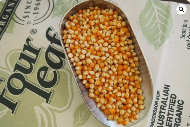 Organic Popping Corn