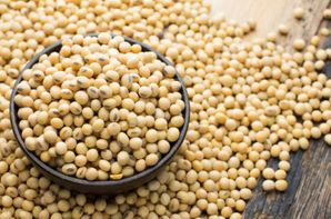 Organic Soya Beans