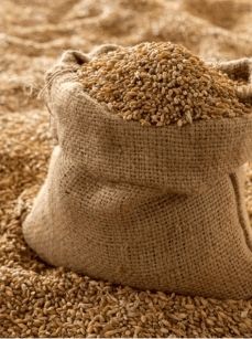 Organic Whole Wheat Grain